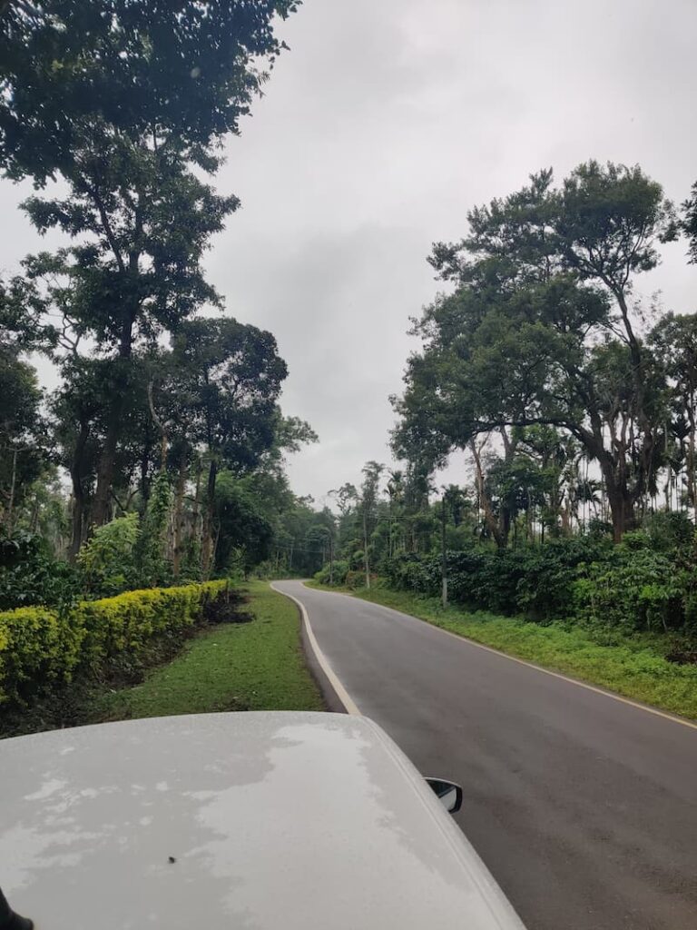 Driving through forest road on Bangalore to Ooty road trip