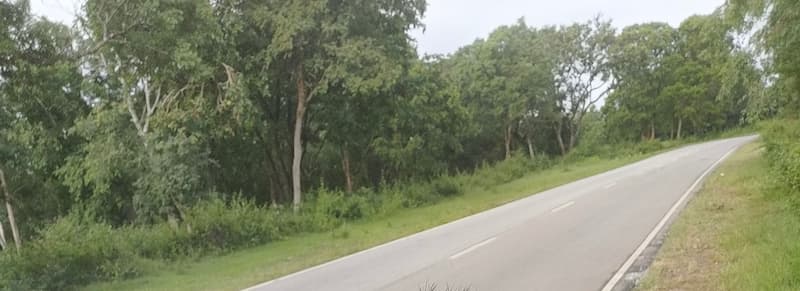 Bangalore Mysore highway road during Bangalore to Ooty road trip