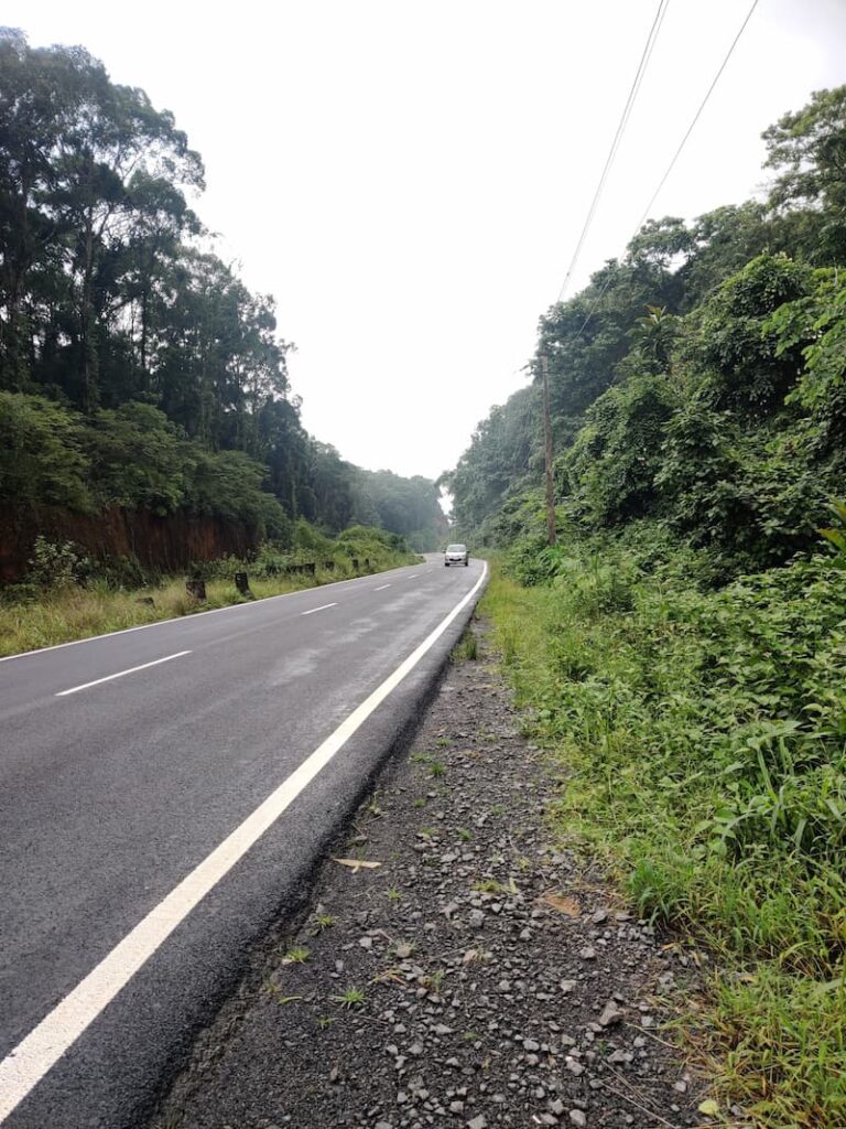 Bangalore to Chikmagalur forest road driving experience