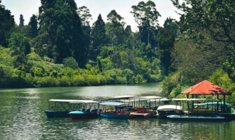 Yercaud lake boating experience Tamil Nadu peaceful hill station lake view
